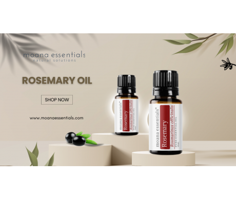 Rosemary Oil for Hair Growth: Uses & Benefits