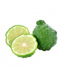 Bergamot Essential oil