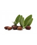 Jojoba Oil