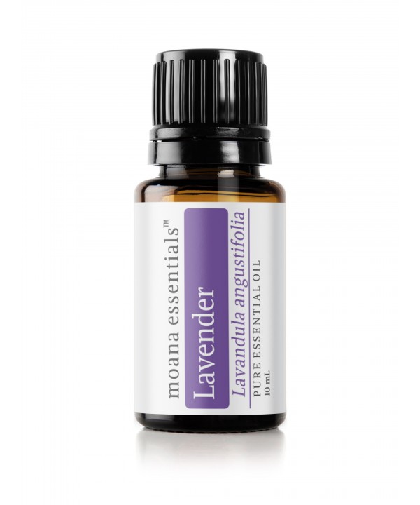 Lavender Essential Oil