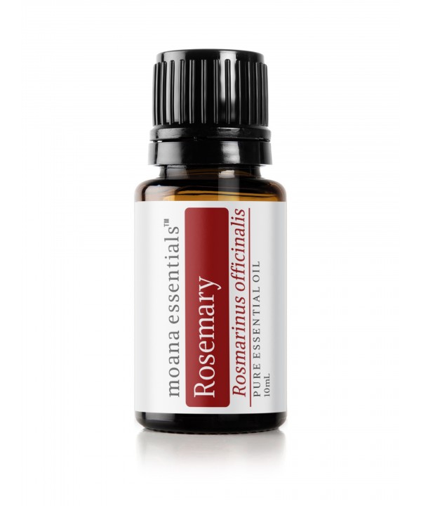 Rosemary Essential Oil