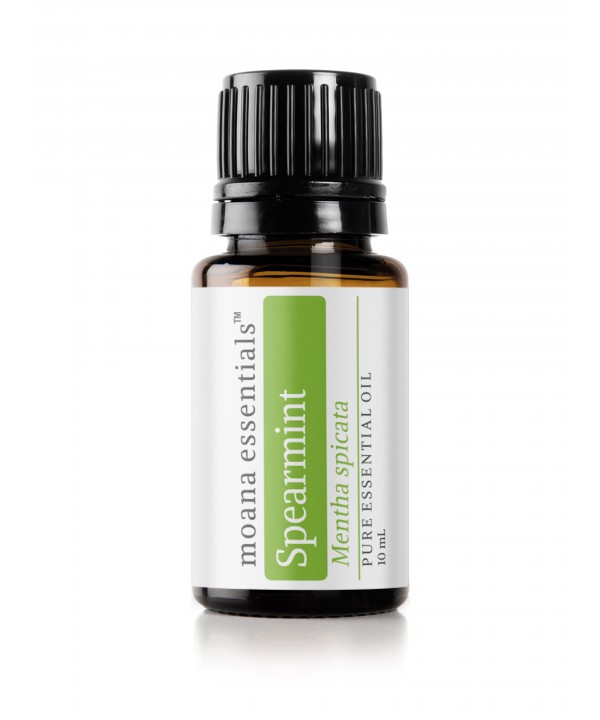 Spearmint Essential Oil